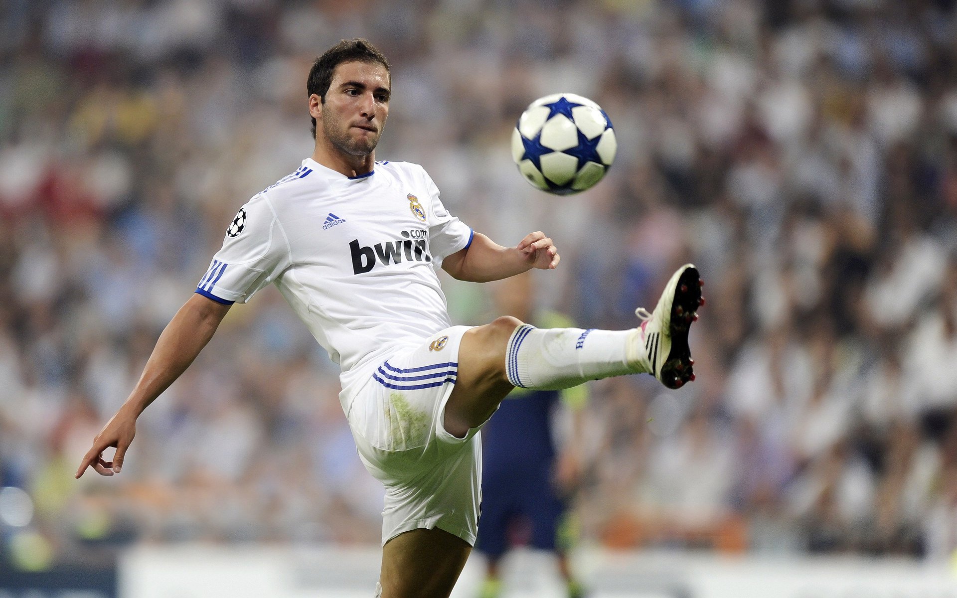 伊朗马术协会推出马术运动员健康管理系统,关注运动员身心健康。